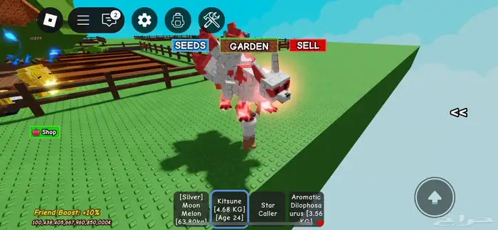 كاتسوني احمر 1