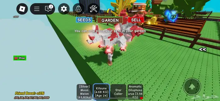 كاتسوني احمر 0