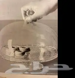 ARV BR LLOP حامل تقديم مع غطاء  زجاج شفاف  29 سم 1