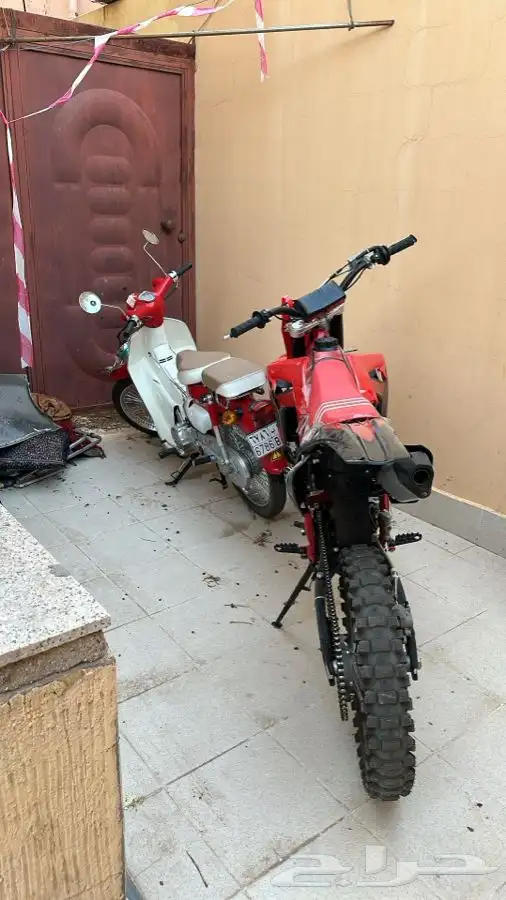 صحراوي مهدي 1