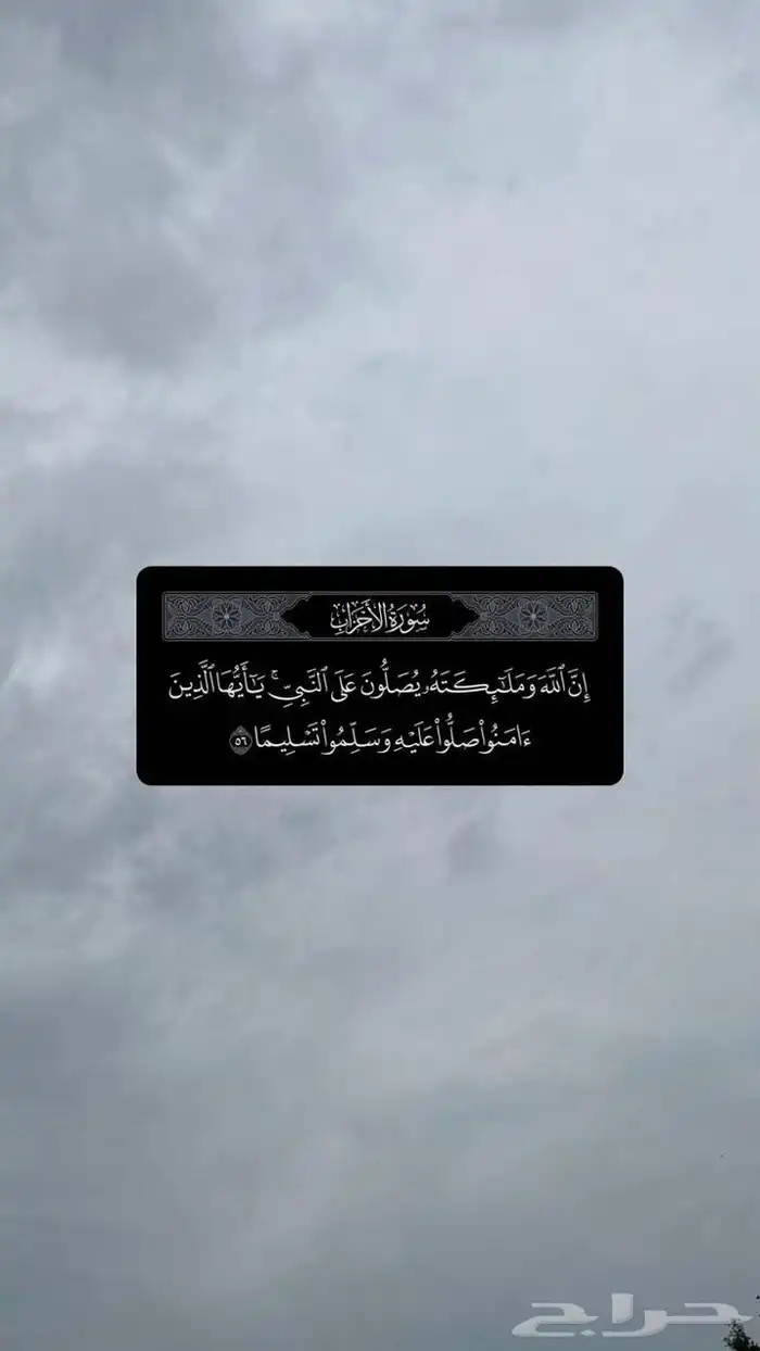 مطلوب حوش للإيجار 0