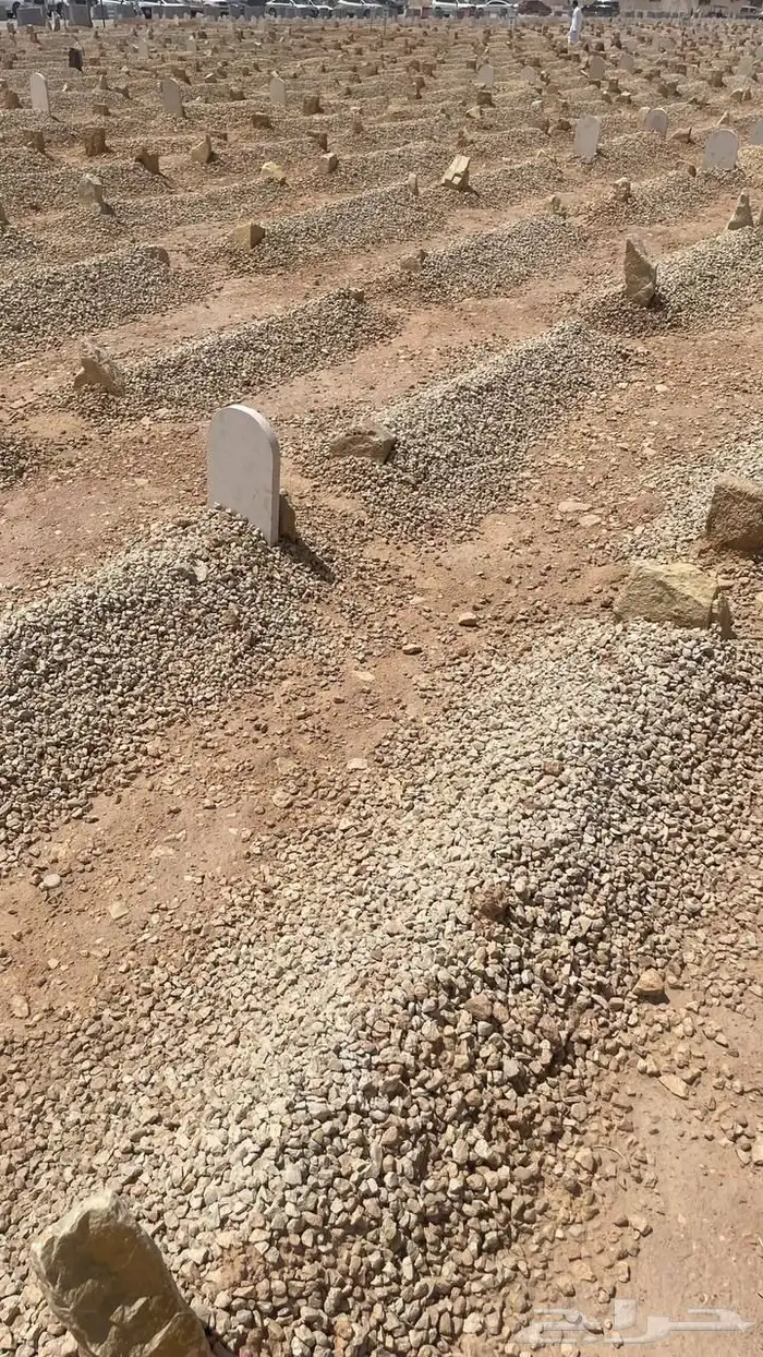 احتاج موار اقصاد الله يبيض وجيهكم 0