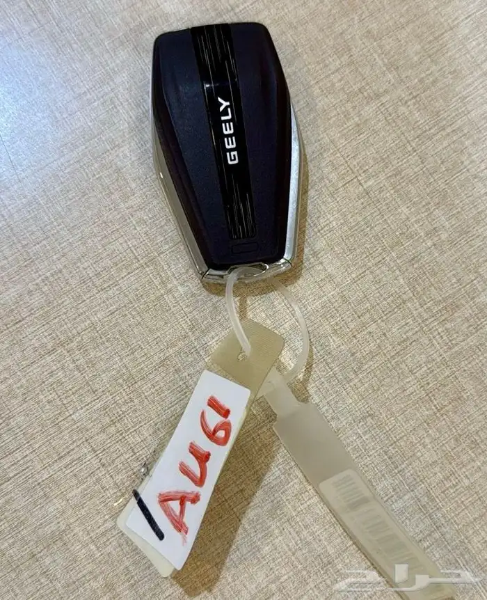 جيلي بينراي 2021 19