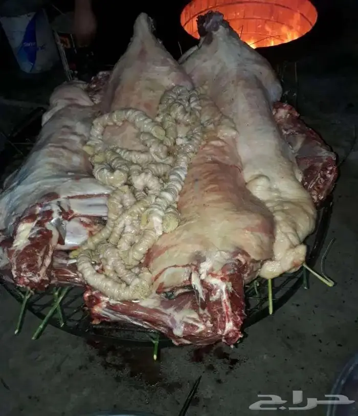 حنيذ بالمرخ بالطريقة الجنوبية 5