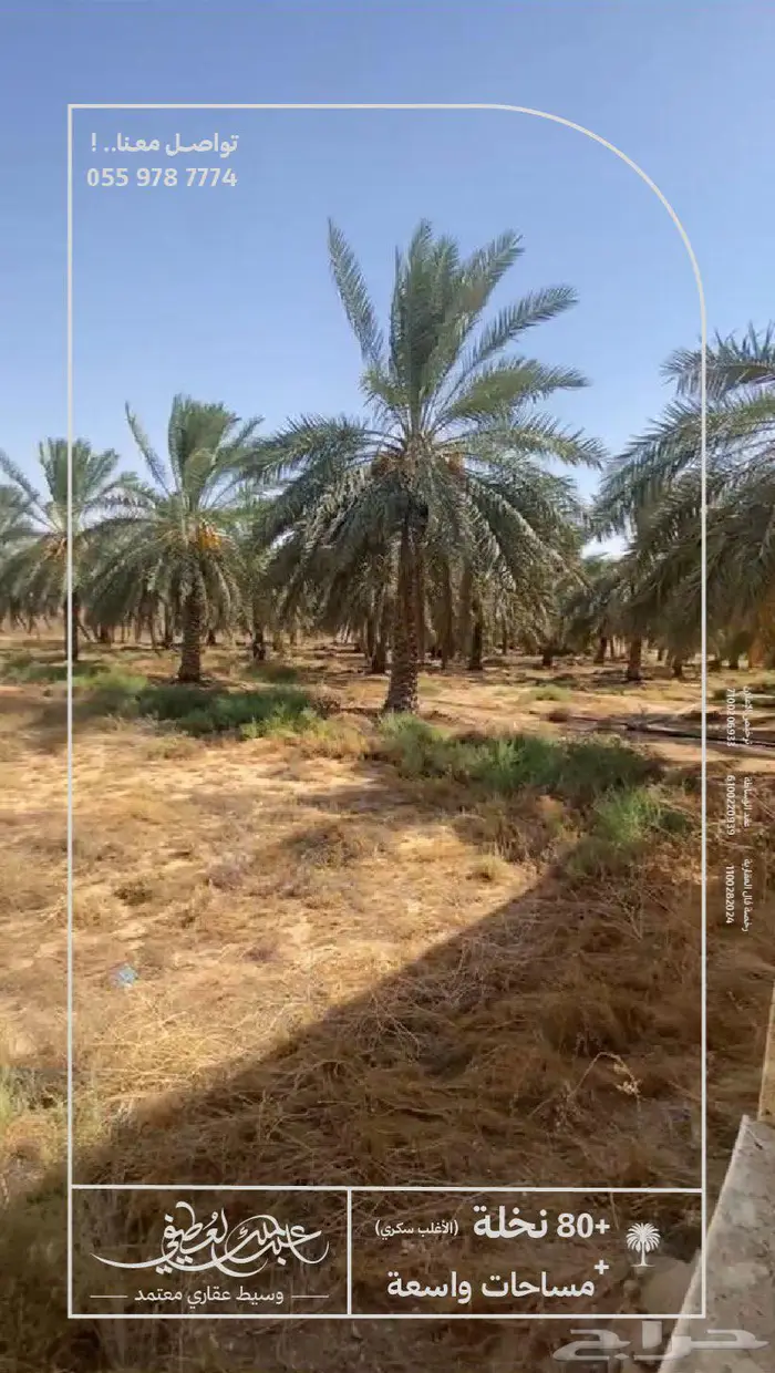 استراحة زراعية للبيع   البدايع   حي السليمانية 7