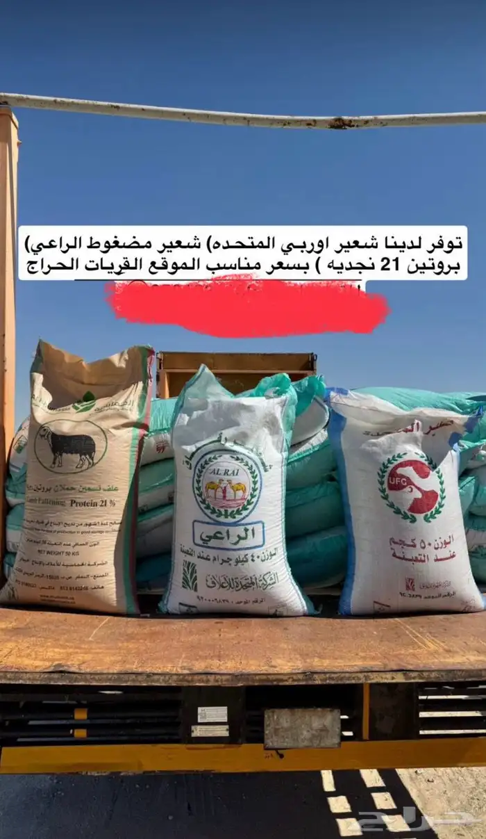 توفر لدينا شعير مضغوط و شعير المتحده و شعير النجديه 0