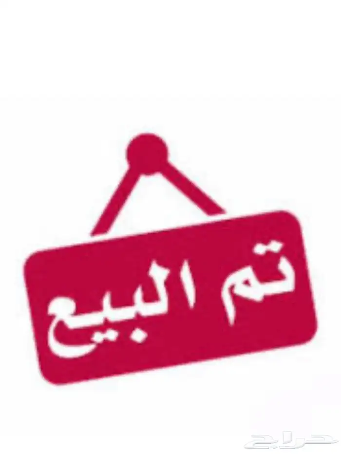 خروف نجدي ادغم صنف 4
