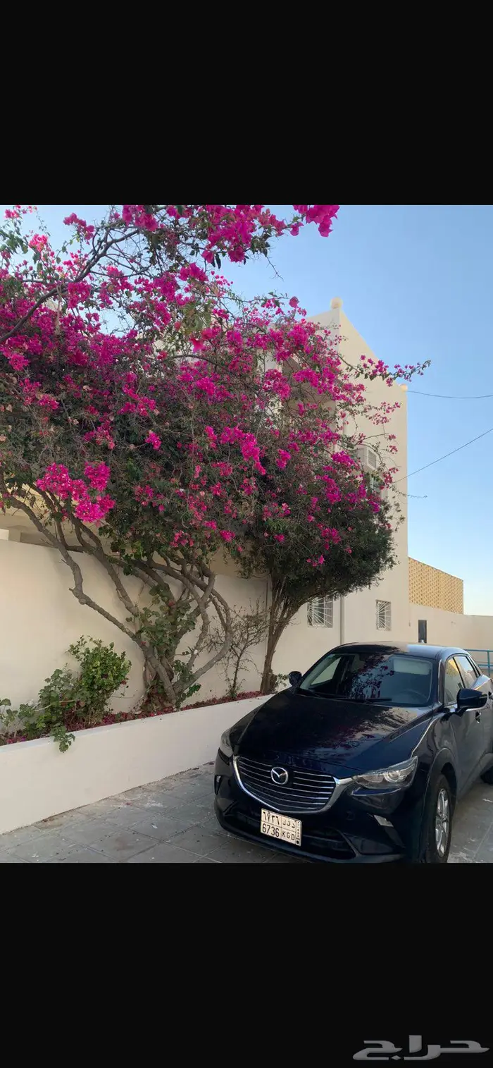 مازده Cx3 10