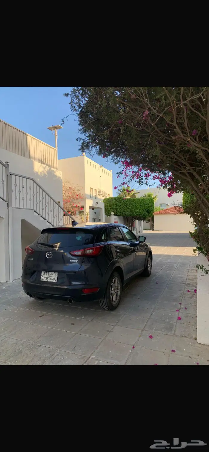 مازده Cx3 13