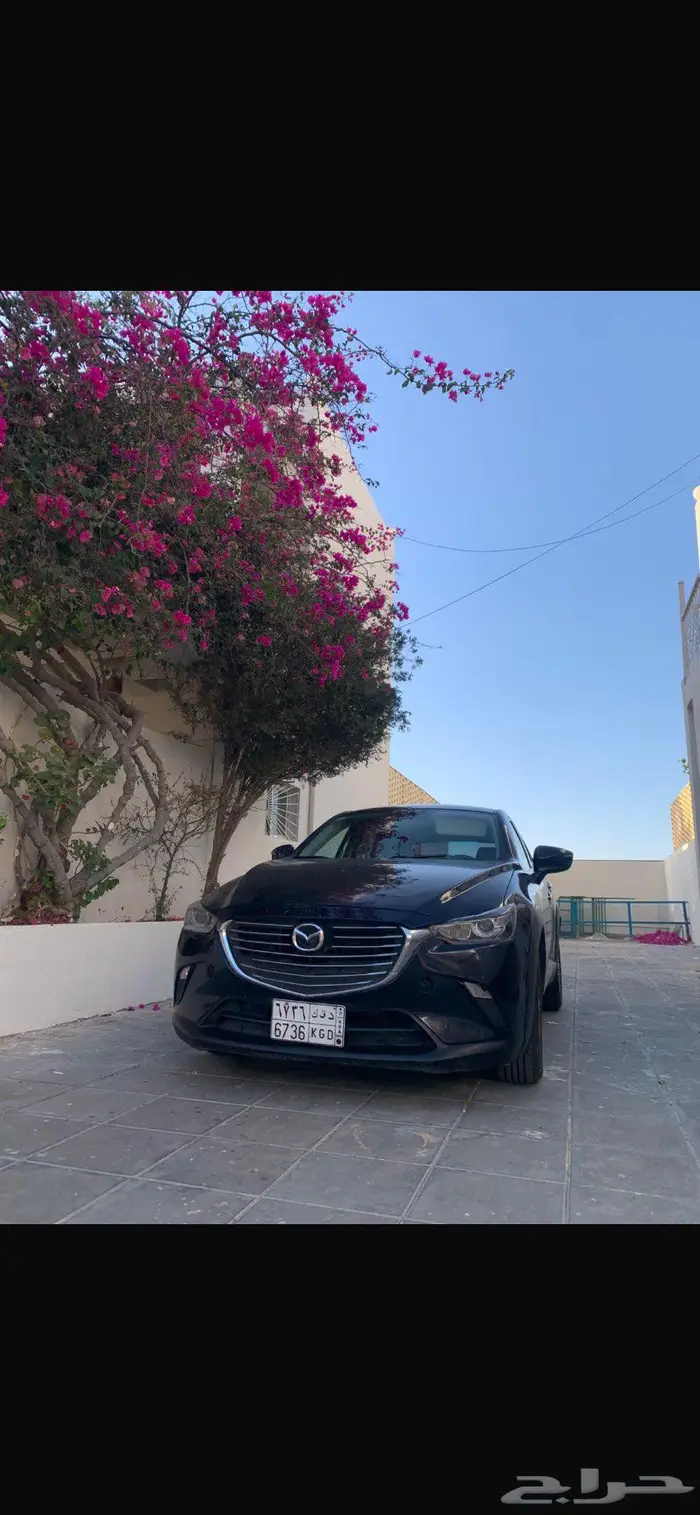 مازده Cx3 14