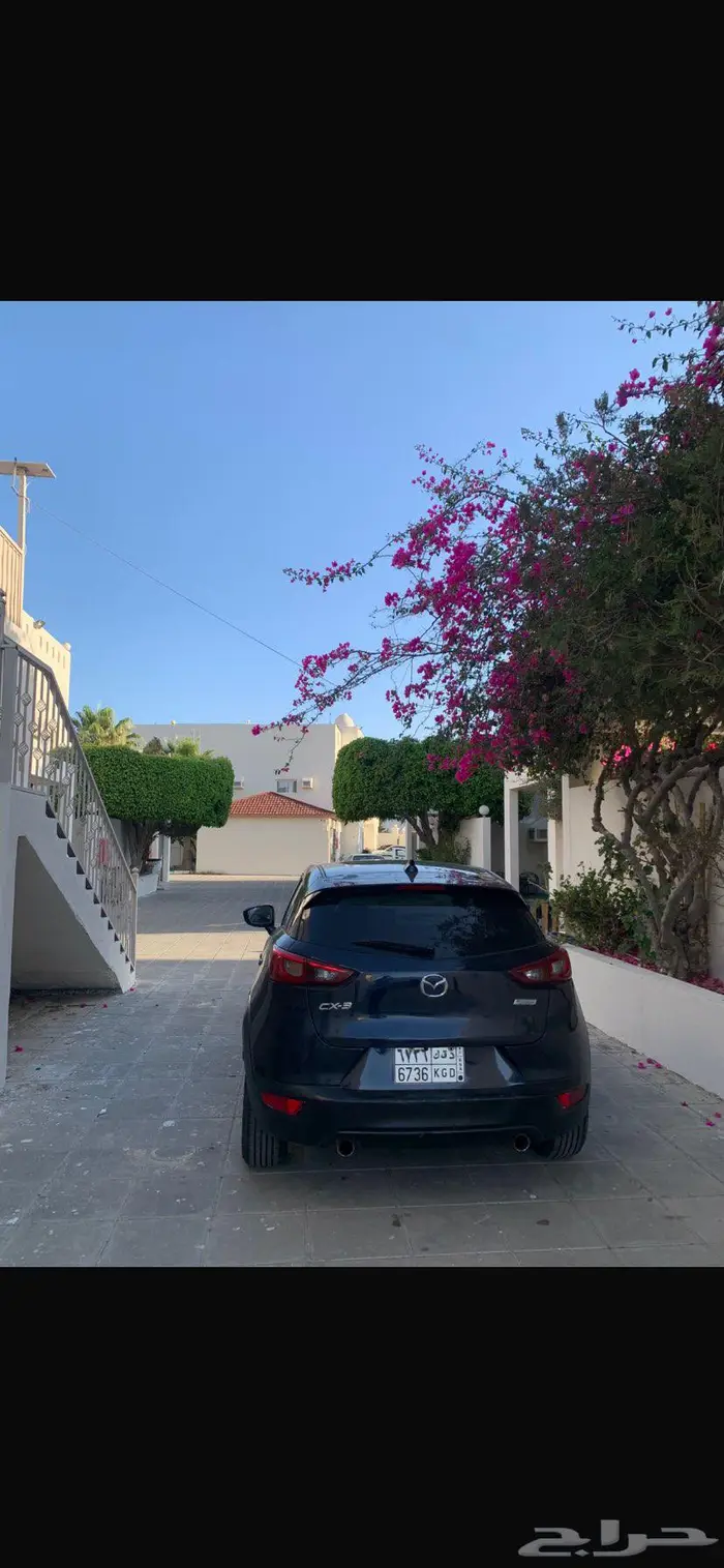 مازده Cx3 12