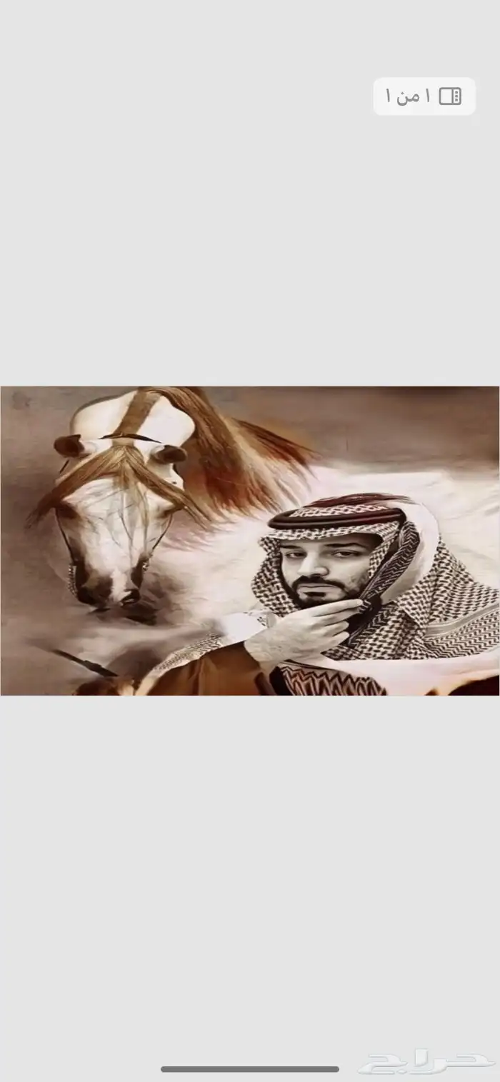 استكرات اليوم الوطني لجميع السيارات والمحلات 4