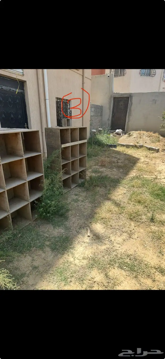 ينفع للدجاج والحمام 3