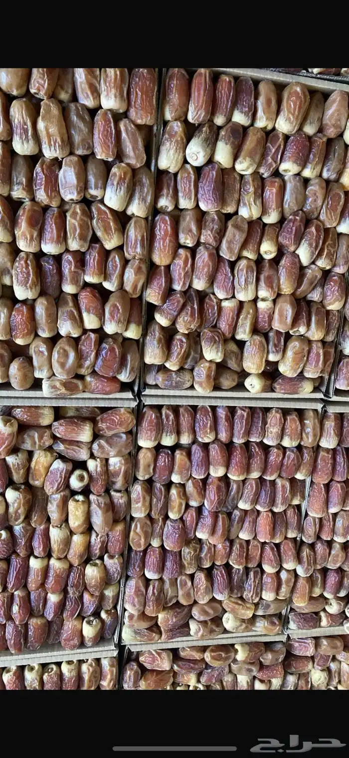 صقعي فاخره 0