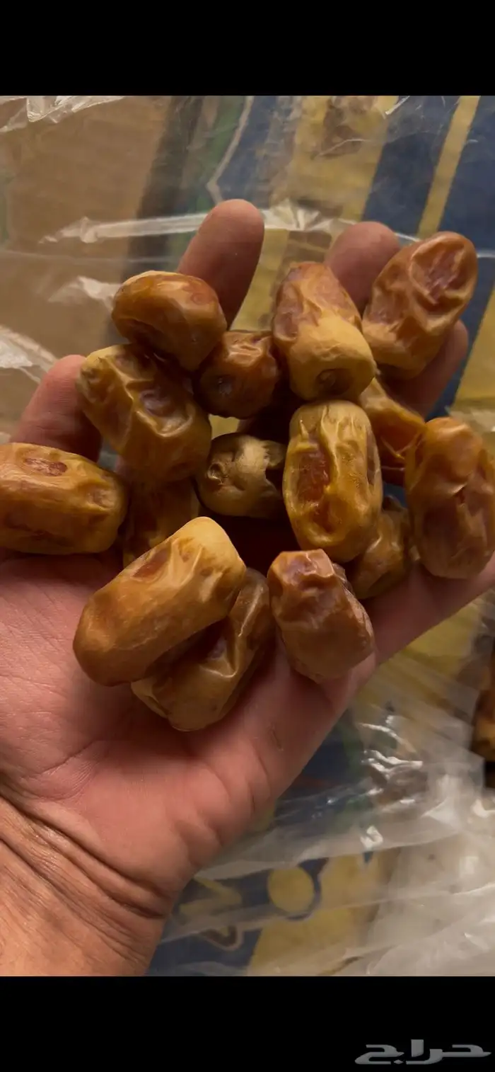 صقعي كراتين كبار 11