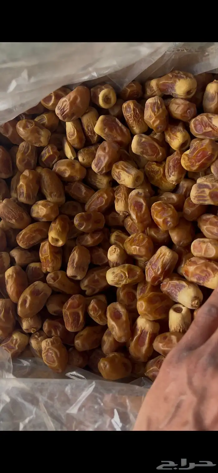 صقعي كراتين كبار 10
