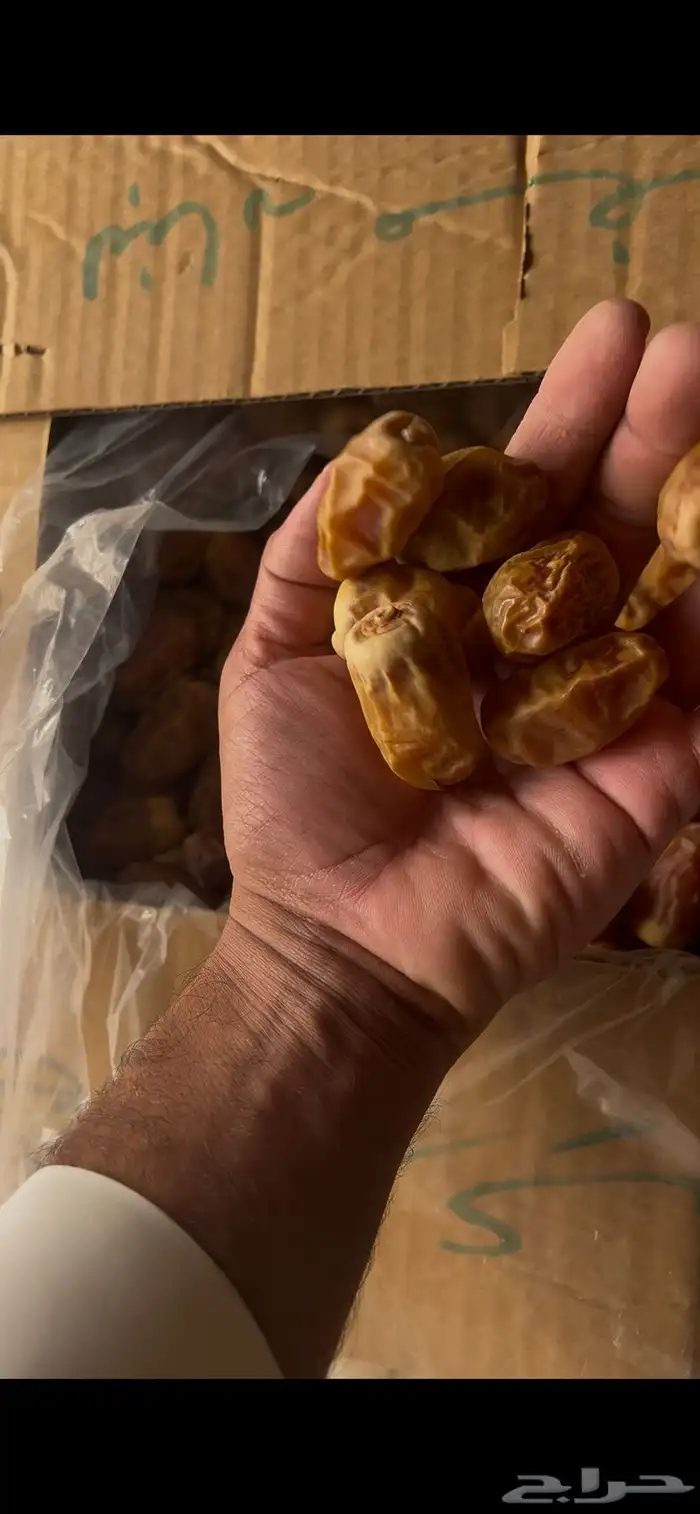 صقعي كراتين كبار 4