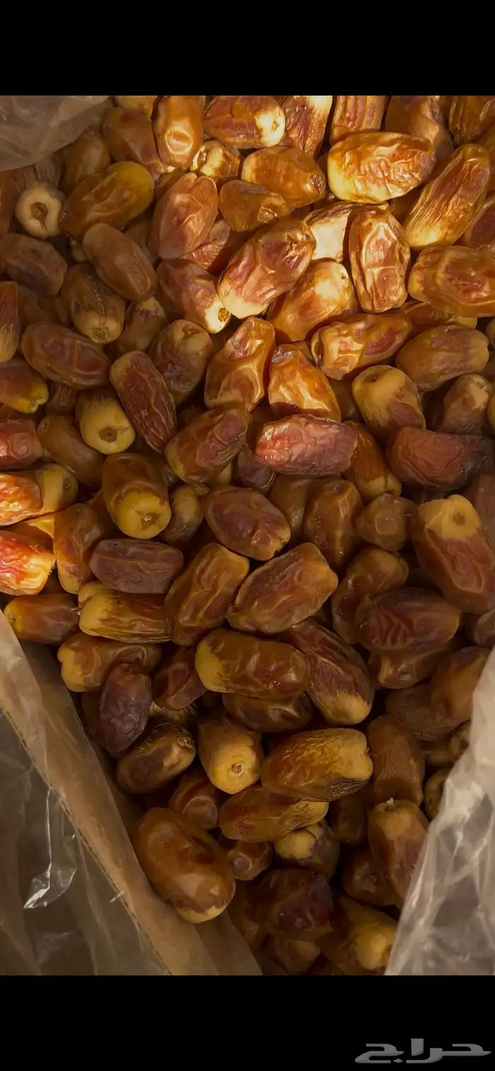 صقعي كراتين كبار 13