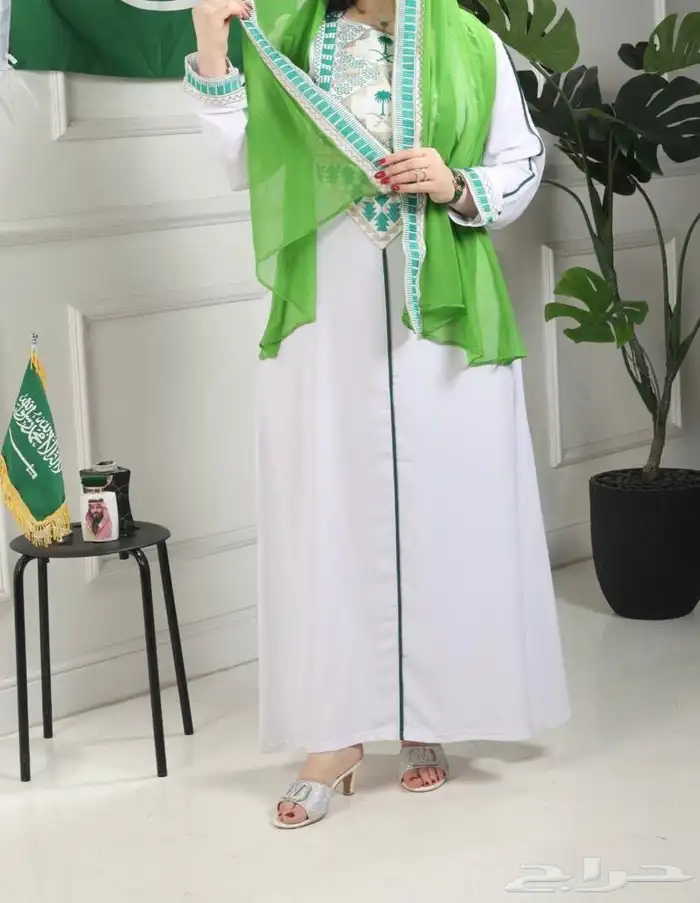 اليوم الوطني 5