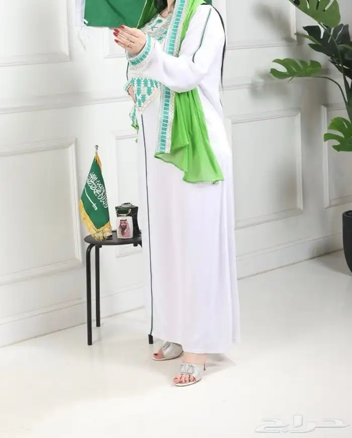 اليوم الوطني 1