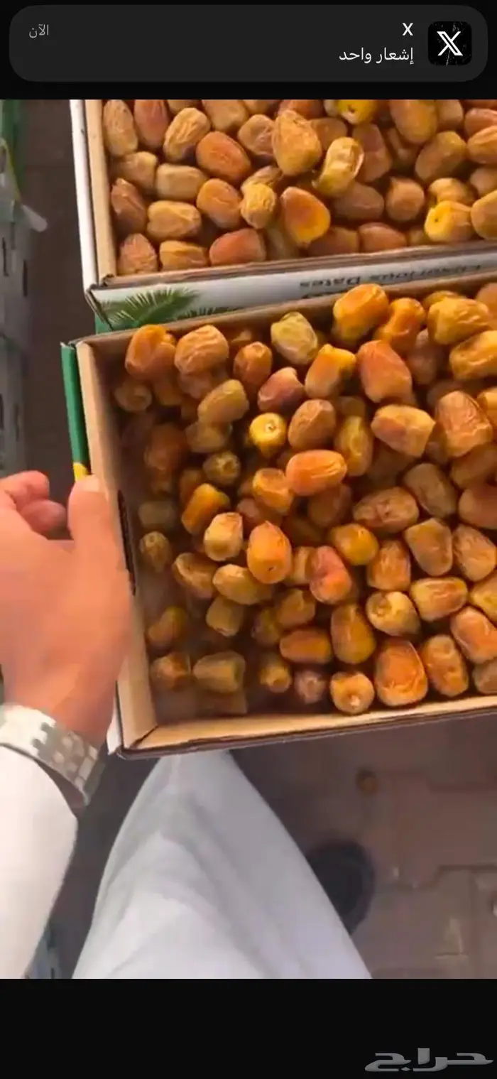 تمور س كري رطب 2