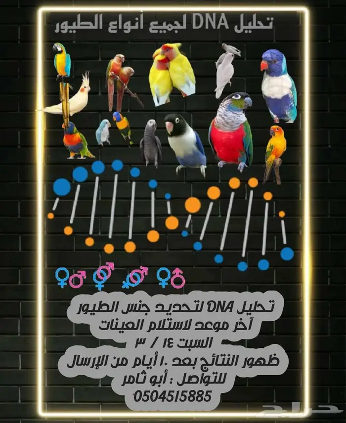 تحليل DNA لجميع الطيور 0