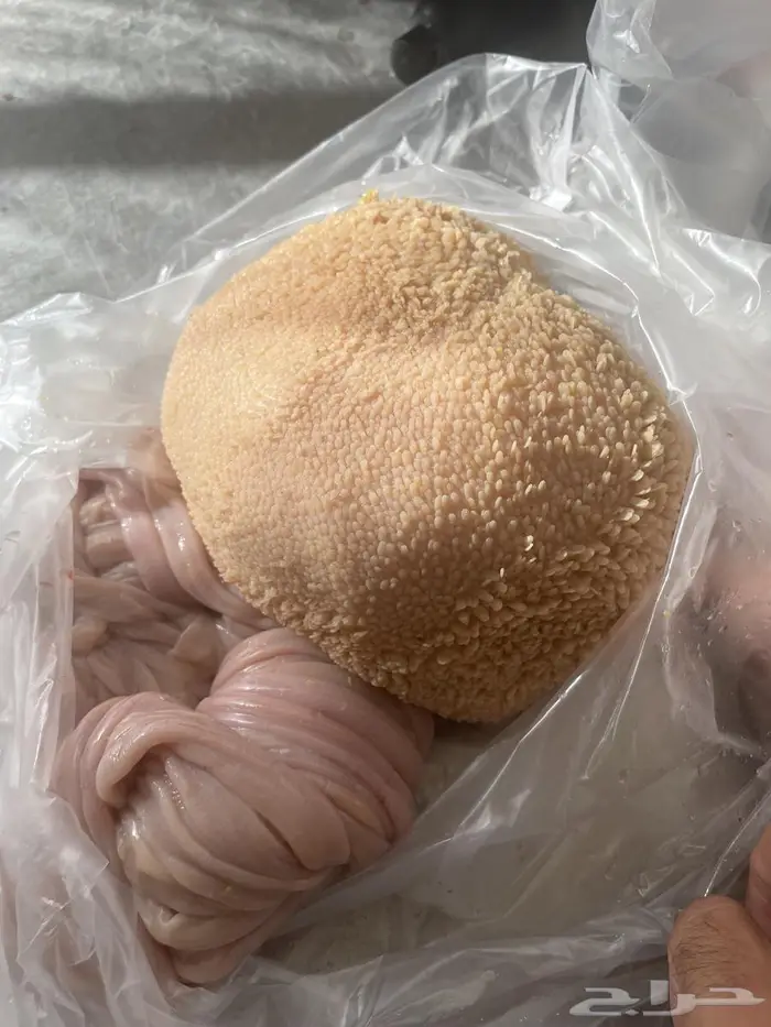 ذبايح للبيع طريق ينبع السريع مخرج 149 12