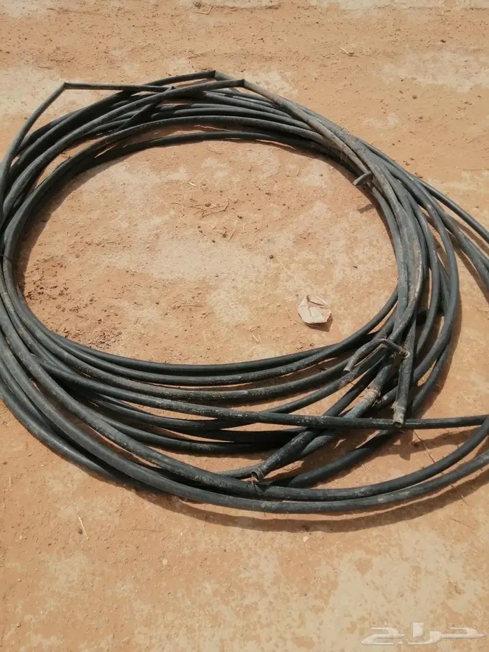 شبوك ومراكيز ابل وغنم ودجاج 3