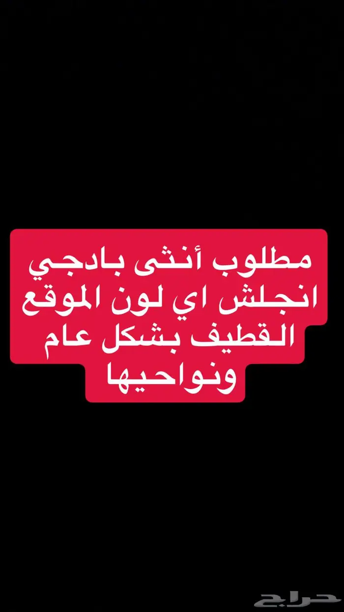 بادجي طيور حب انجلش أنثى 0