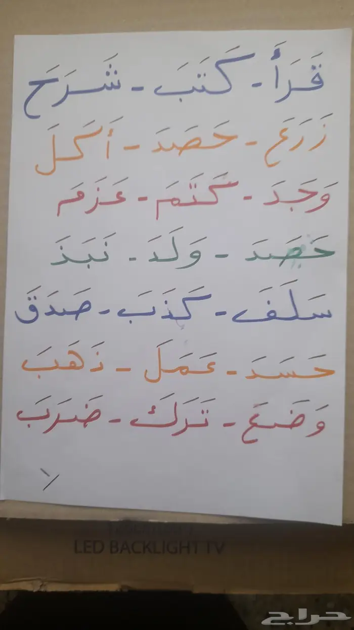 معلم تأسيس تمهيدي وصفوف أولية 0
