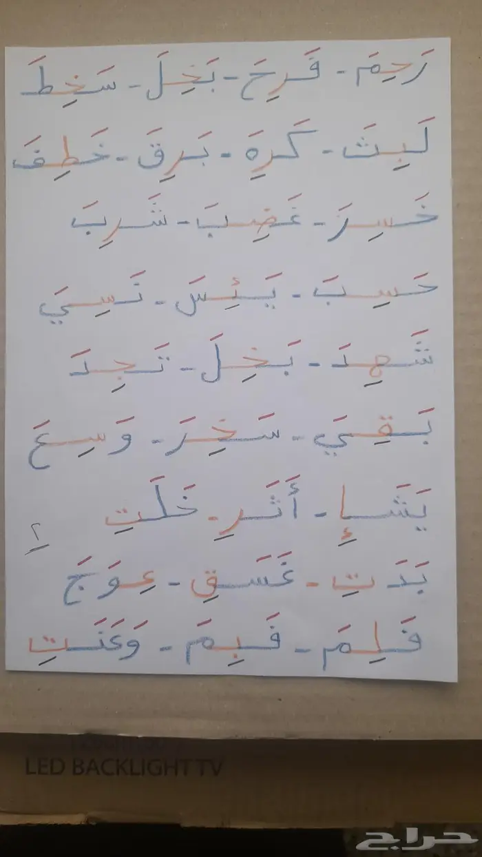 معلم تأسيس تمهيدي وصفوف أولية 1