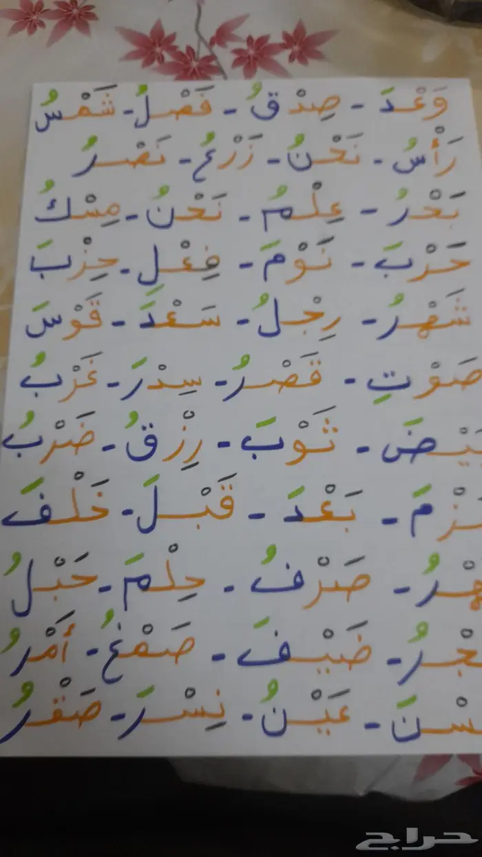معلم تأسيس تمهيدي وصفوف أولية 16
