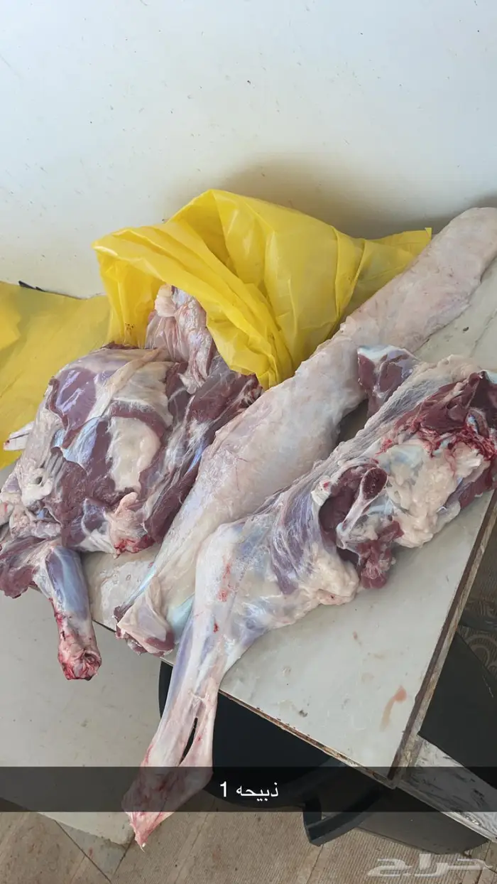 ذبايح للبيع طريق ينبع السريع مخرج 149 18