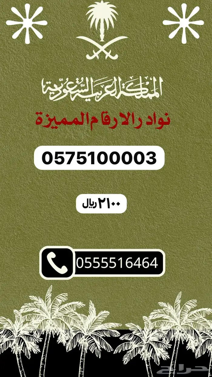 ارقام مميزه والنقل فوري 16