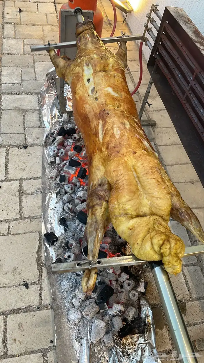 شوي خارجي 8