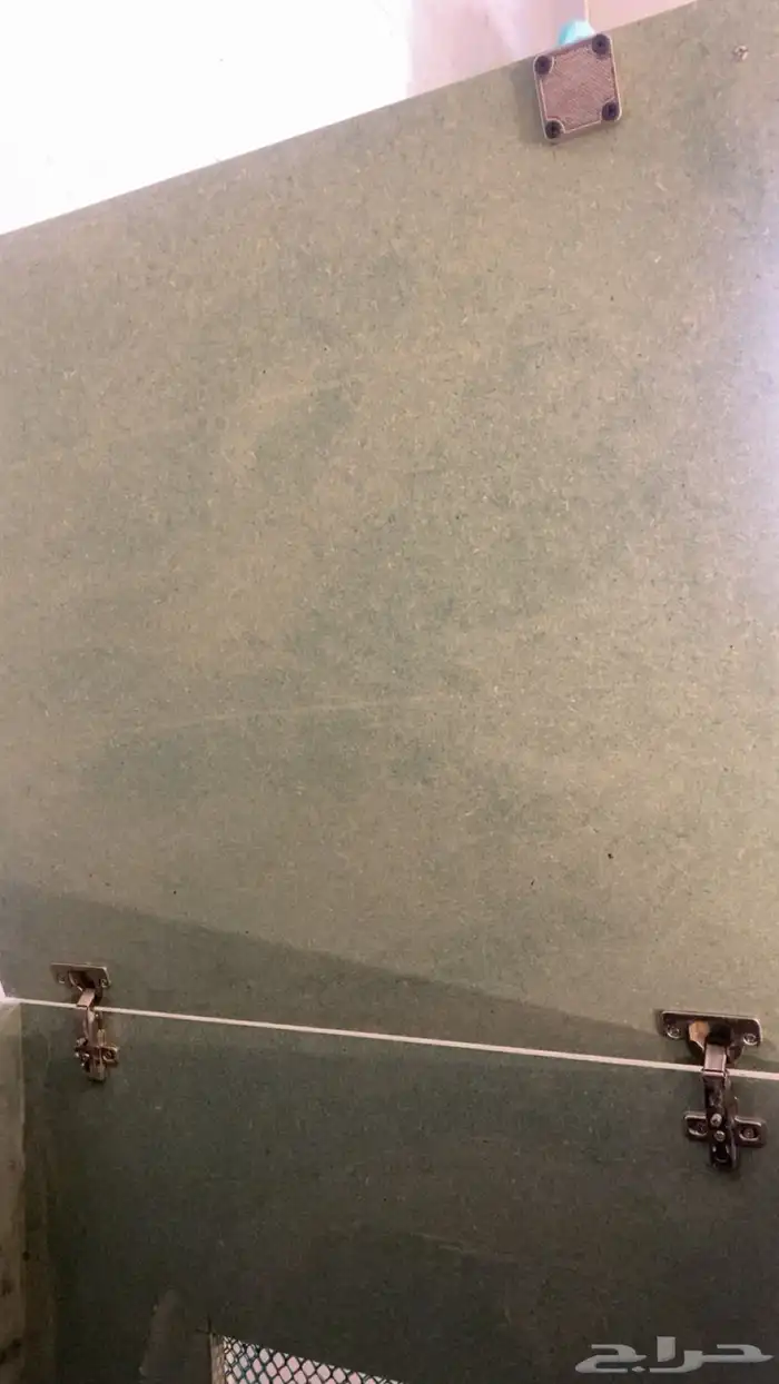 قفص قطط 2