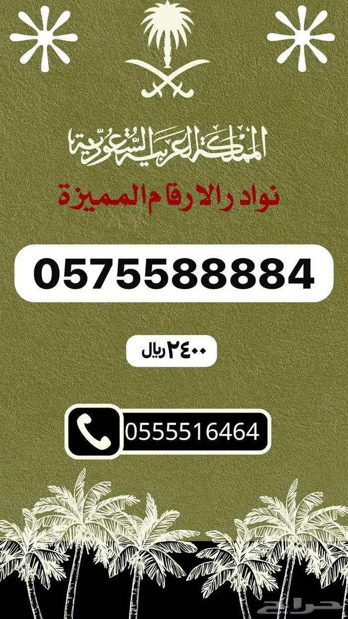 ارقام مميزه والنقل فوري 29