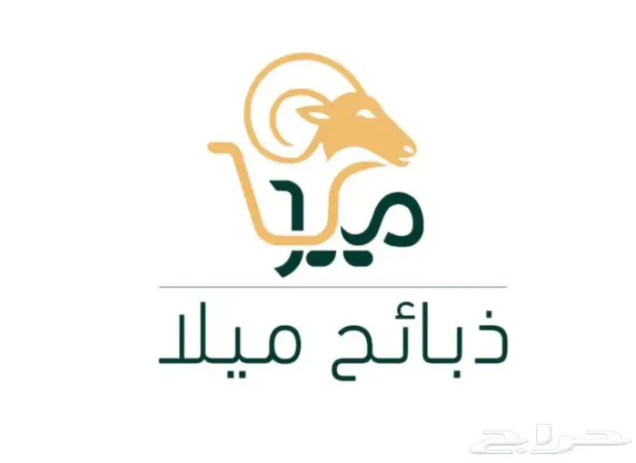 للبيع ذبائح بالتقسيط عبر تابي وتمارا 0