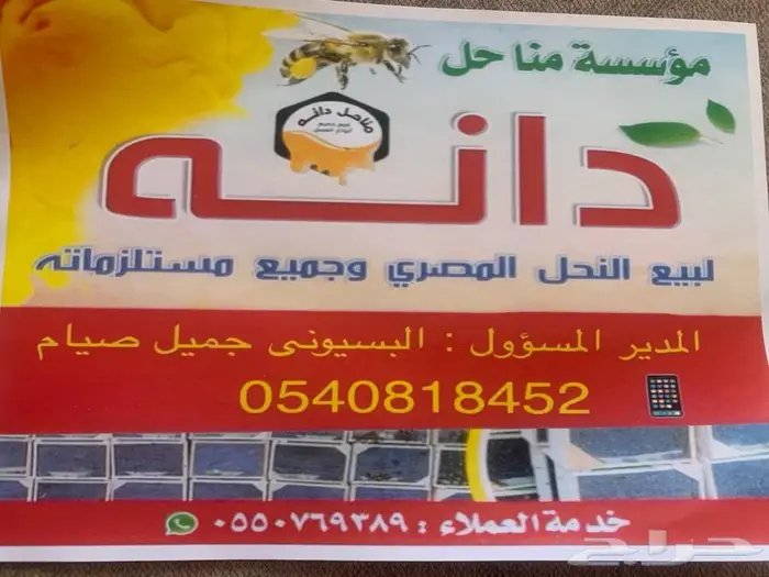 نحل مرزوم مصرى خصم 10 3