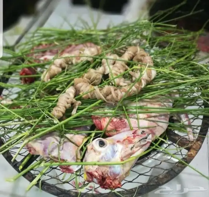 حنيذ بالمرخ بالطريقة الجنوبية 2