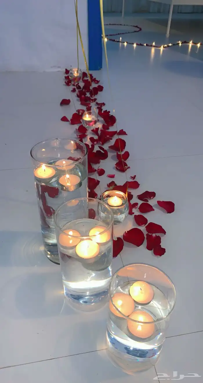 تنسيق جميع الحفلات 82