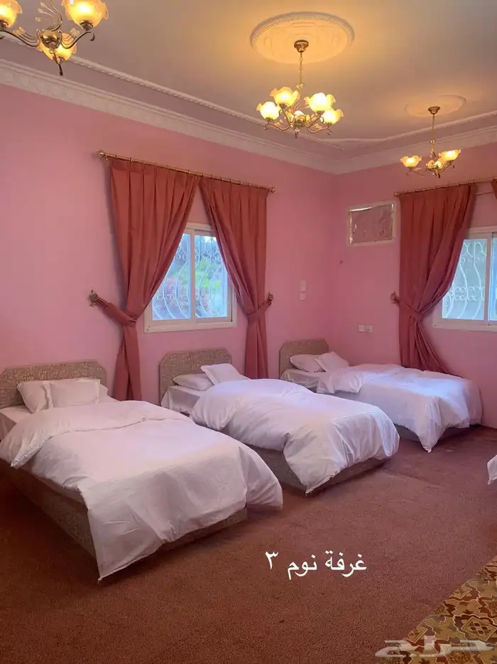شقة و ادوار للايجار 2