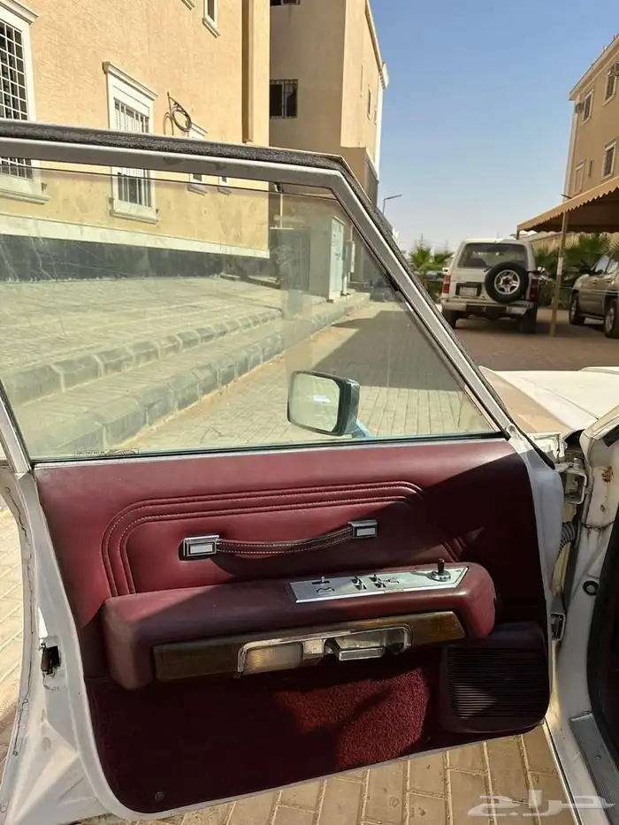 تم البيع الله يبارك للمشتري 2