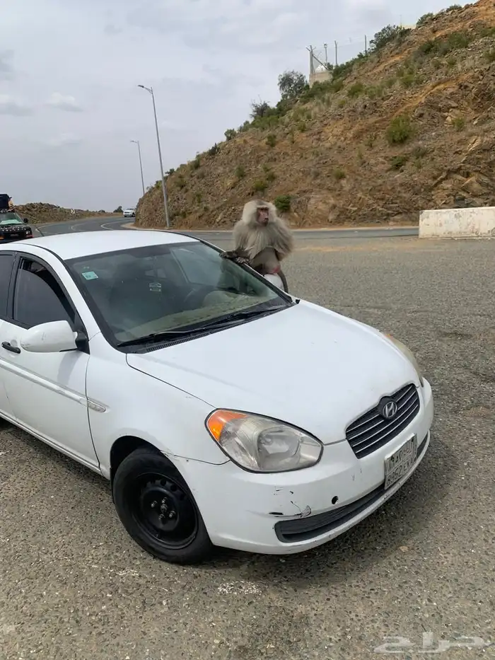 اكسنت 2010 0