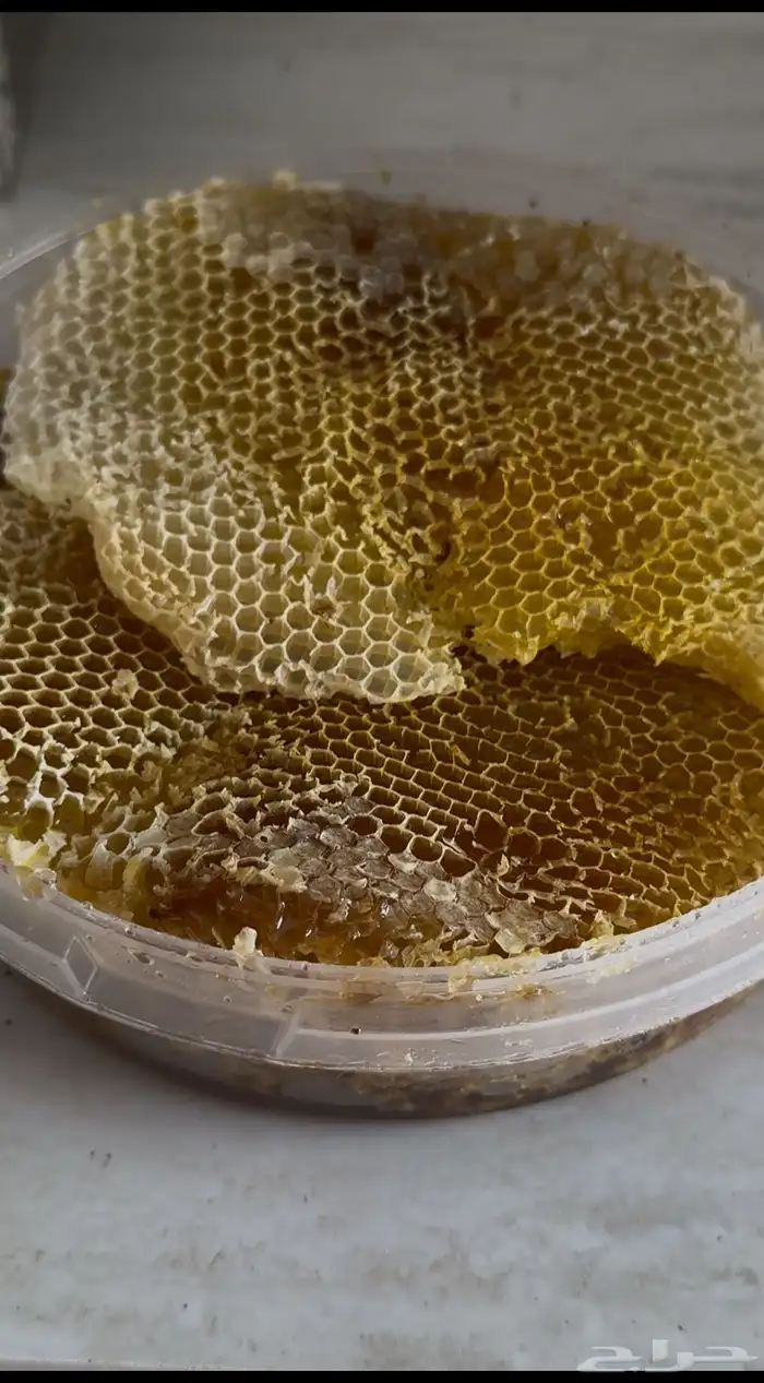 عسل شمع اصلي ومضمون 0