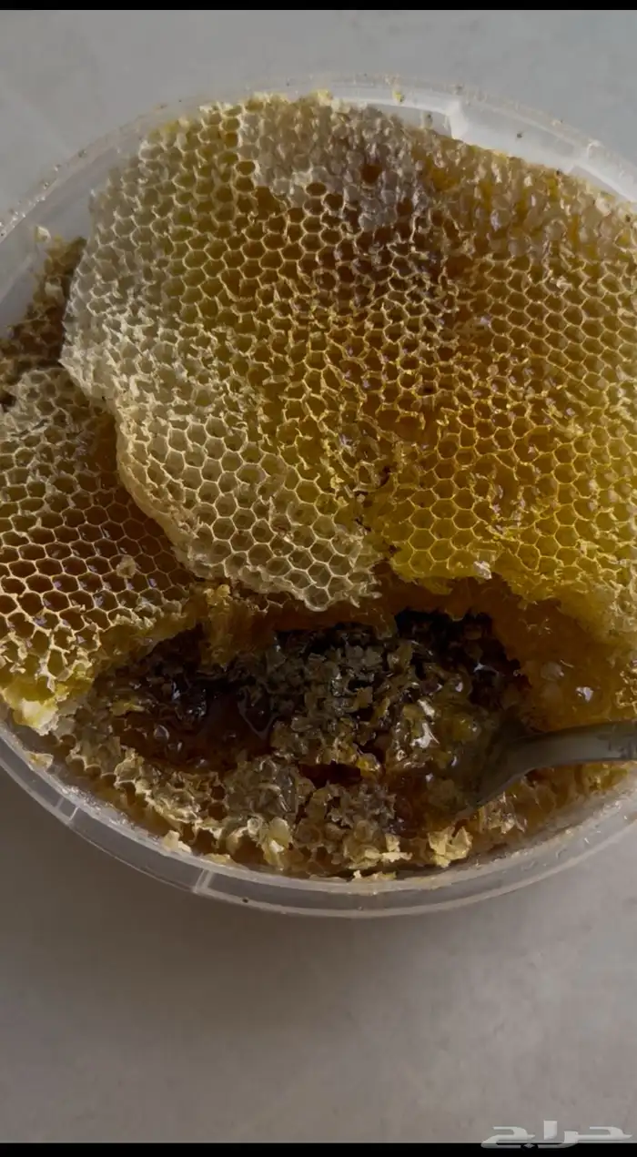 عسل شمع اصلي ومضمون 6