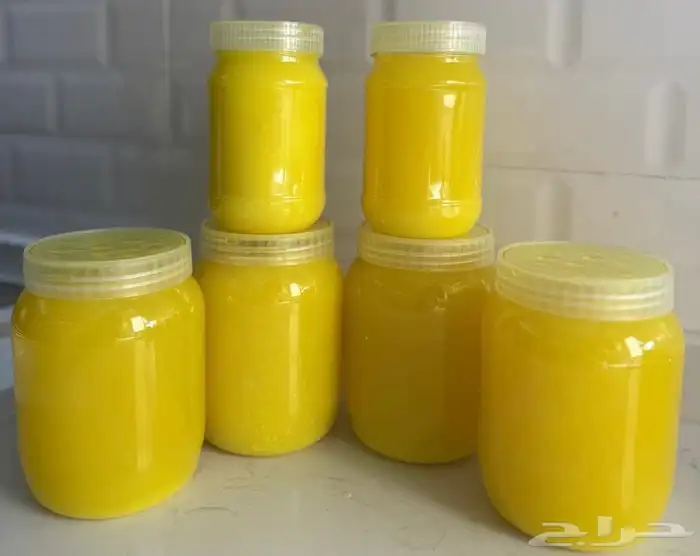 سمن غنم اردني بلدي 1