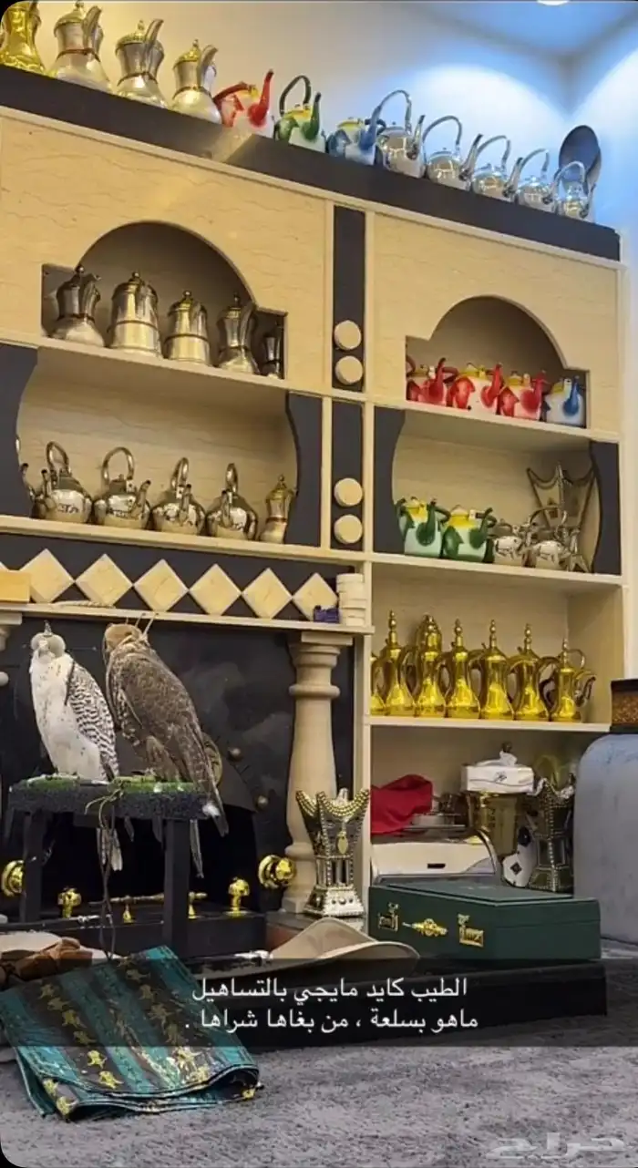 تاجير صقور للمناسبات والاحتفلات مع صقار 6