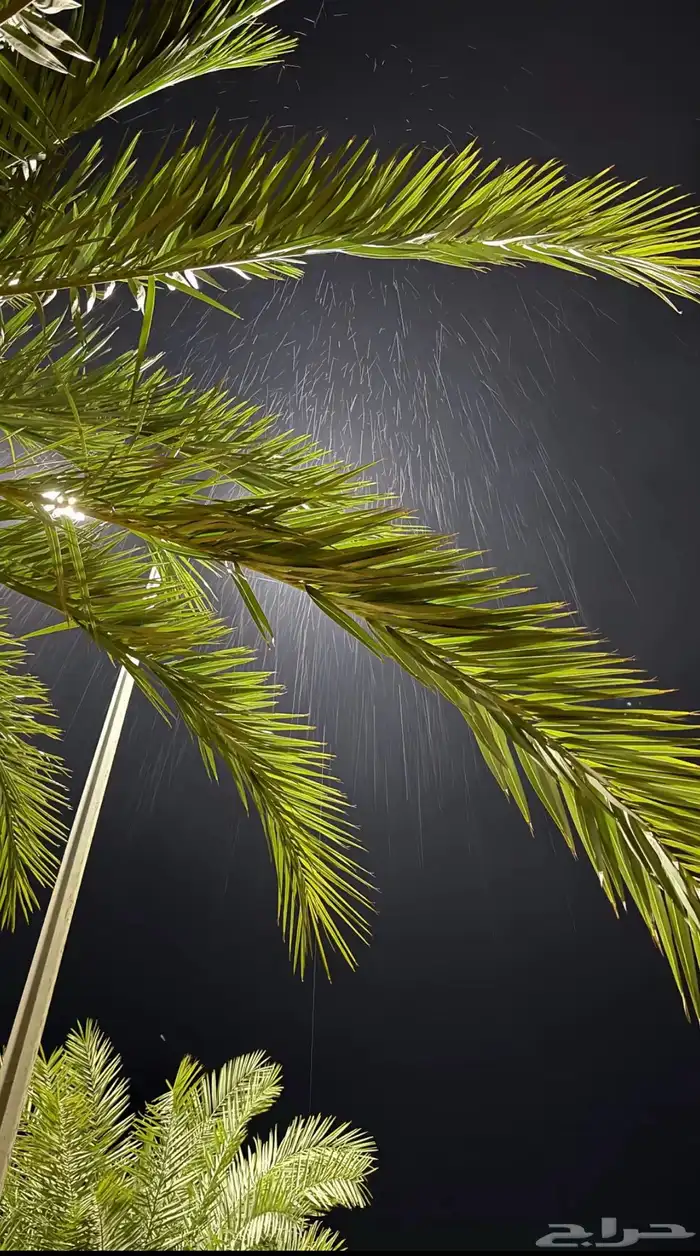 فني نجاره وتصاميم 0