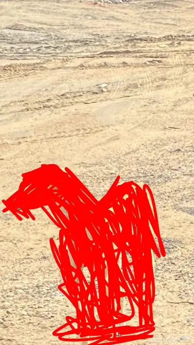 سلوقي 0